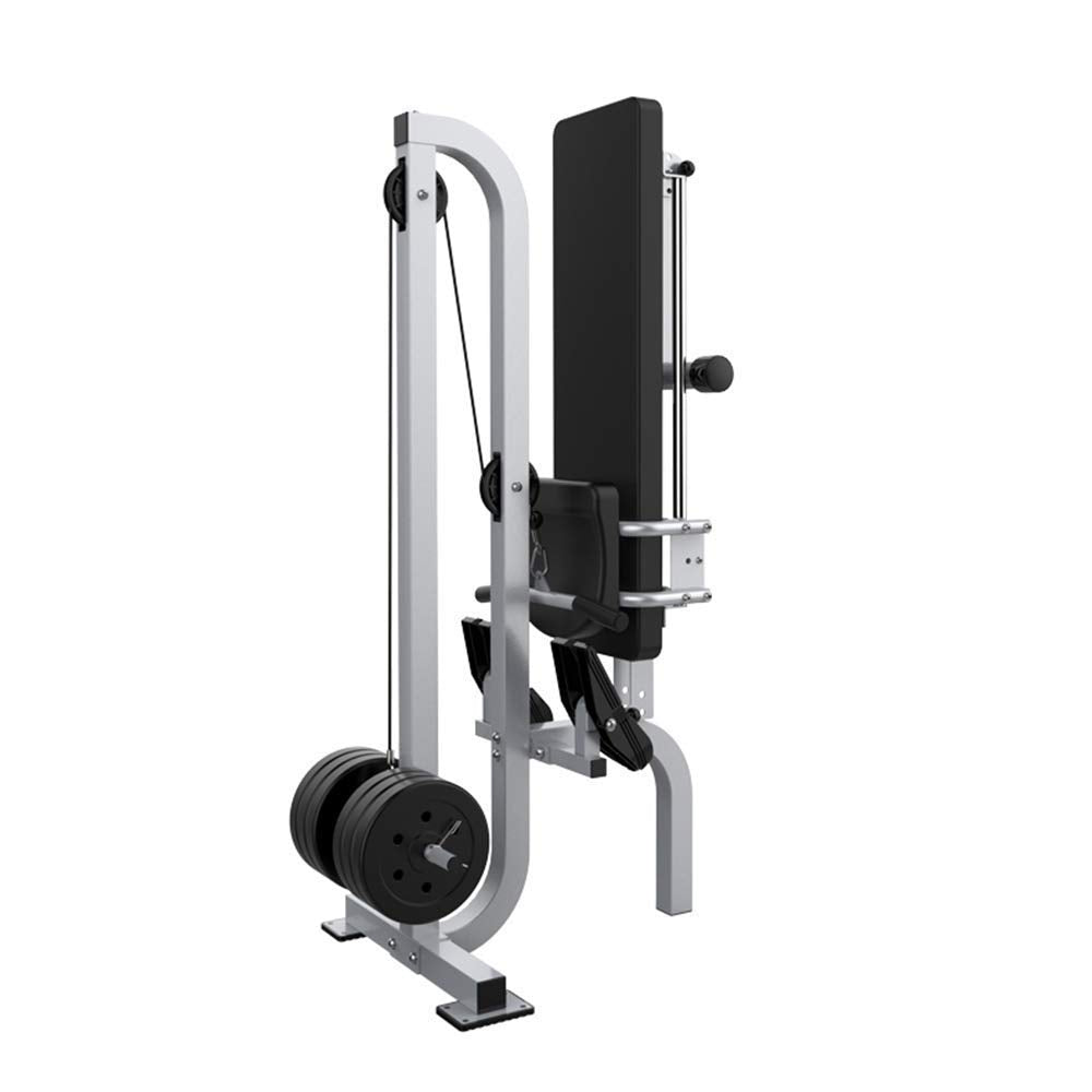 Compact Folding Magnetic Rowing Machine, Adjustable Resistance Rower, with Dumbbell Bench Design, Motion Exercise Cardio Fitness Equipment,300 LB Weight Capacity,Easy to Install